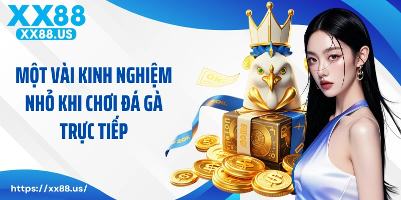 Một vài kinh nghiệm nhỏ khi chơi đá gà trực tiếp